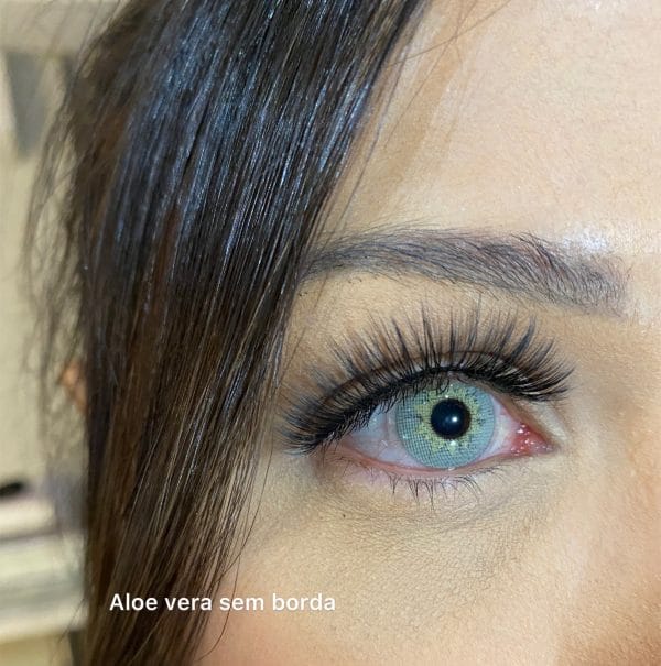 Aloe Vera (sem borda) - Imagem 4