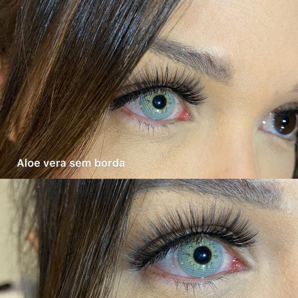 Aloe Vera (sem borda) - Imagem 5