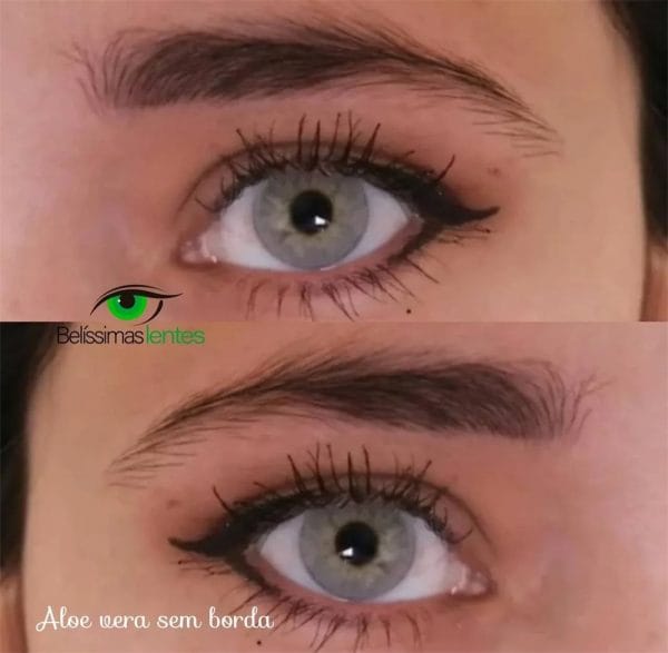 Aloe Vera (sem borda) - Imagem 2