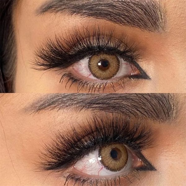 Premium Hazel - Imagem 3