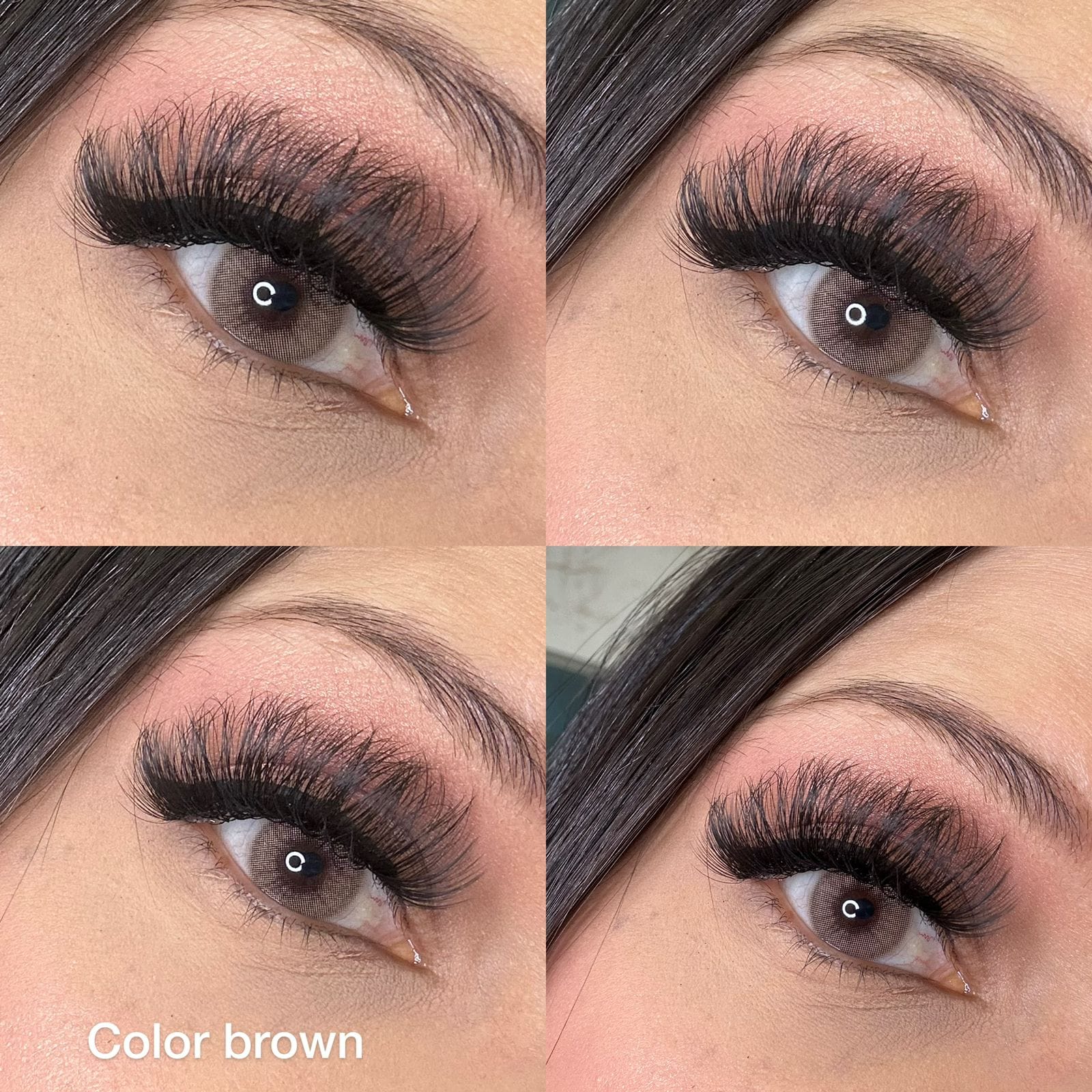 Color Brown - Imagem 2